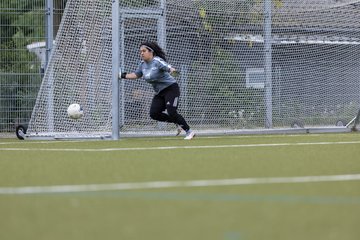 Bild 183 - F SV Eidelstedt - SC Alstertal-Langenhorn : Ergebnis: 2:7